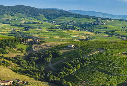 Paysage Auvergne Rhône-Alpes